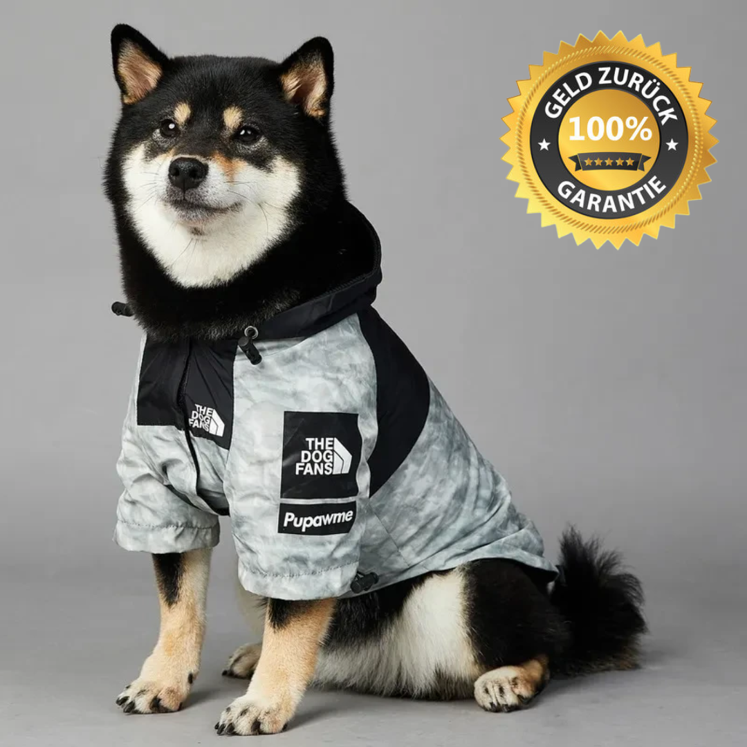 SCOMBOO PupTrend - Für Abenteuer bei jedem Wetter Scomboo