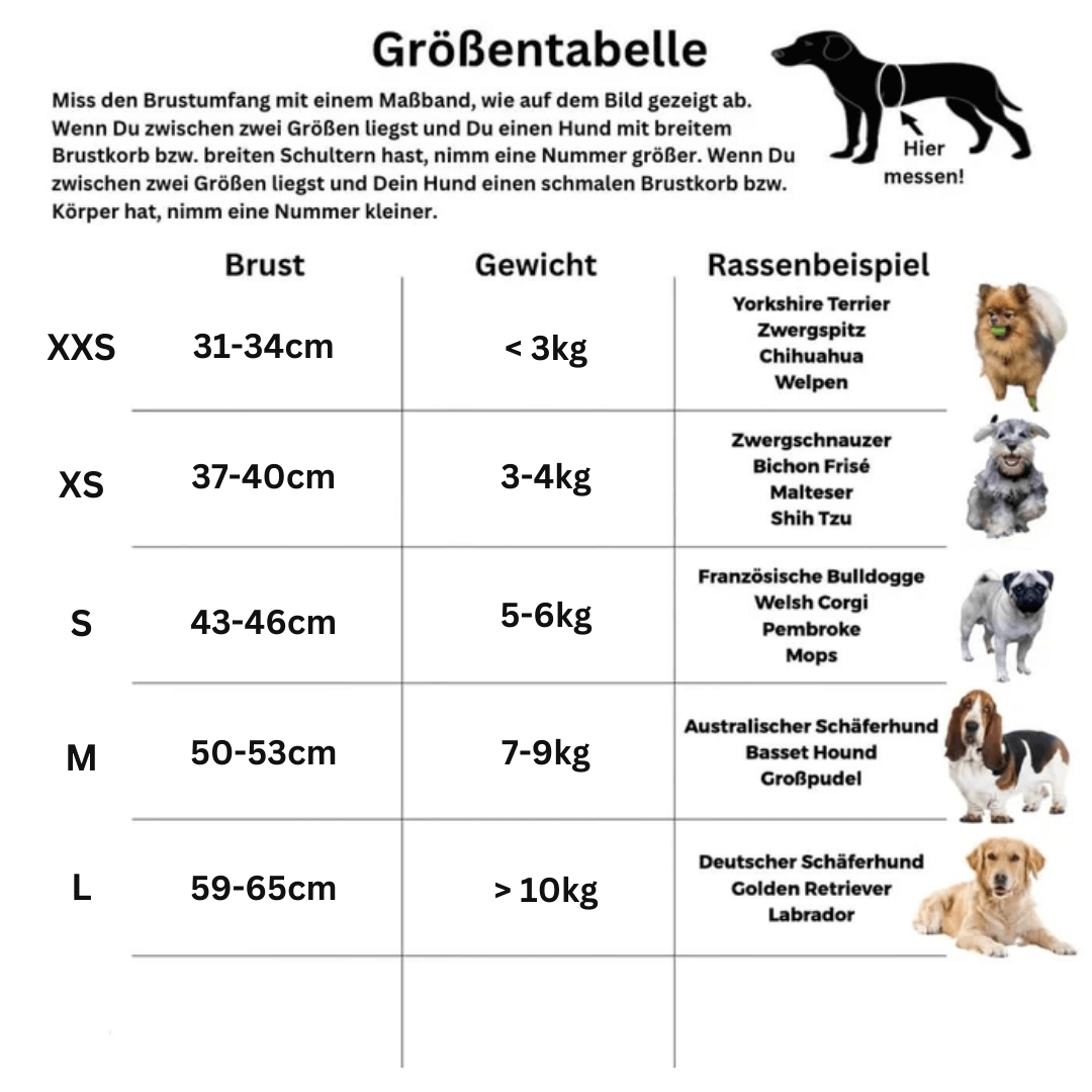 SCOMBOO PupTrend - Für Abenteuer bei jedem Wetter Scomboo