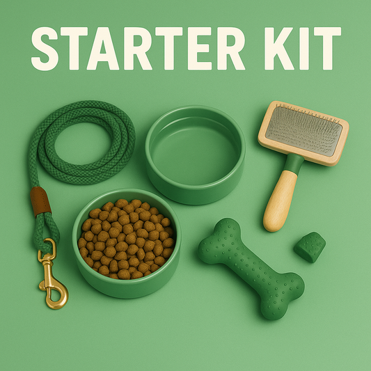 Basic Starter-Kit (Junge) - ideal für den Start ins gemeinsame Abenteuer