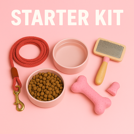 Basic Starter-Kit (Mädchen) - ideal für den Start ins gemeinsame Abenteuer