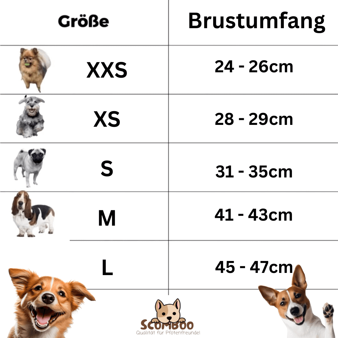 SCOMBOO SoftTrek – Sicher führen, leicht folgen Scomboo