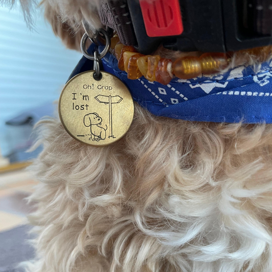 SCOMBOO DogMedaillon – Einzigartig sicher, stilvoll persönlich